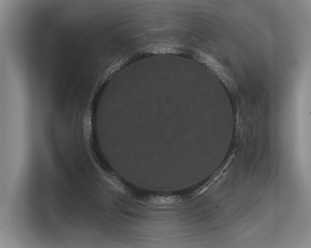 X0000113630202200909181523