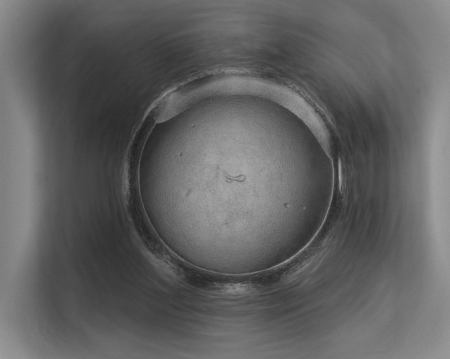 X0000113630204200909181523