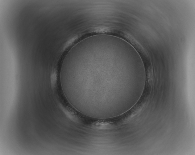 X0000113630208200909181523