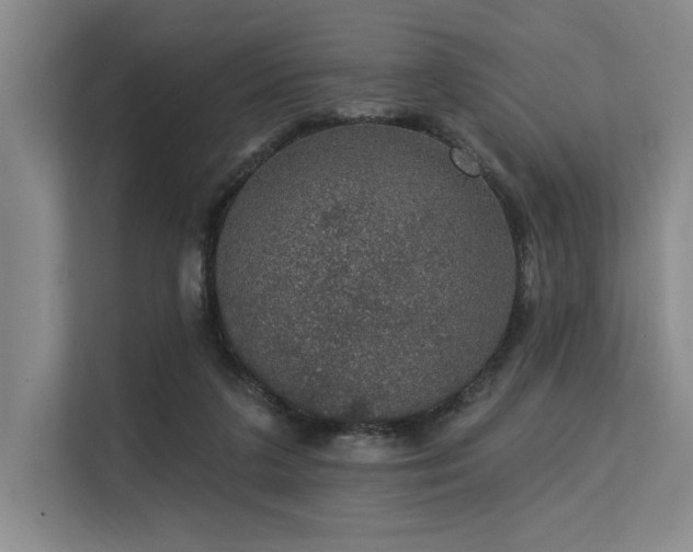 X0000113630211200909181523