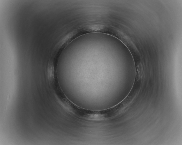 X0000113630212200909181523