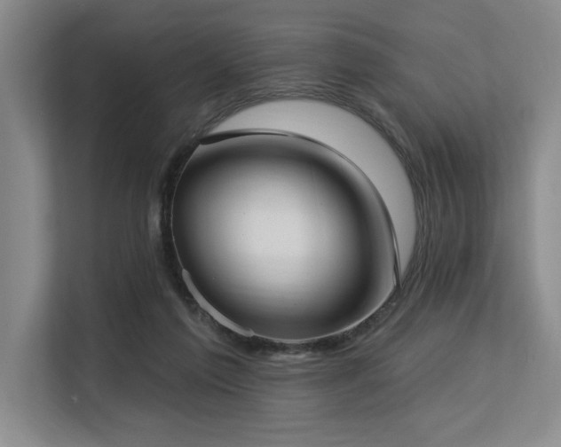 X0000113630213200909181523