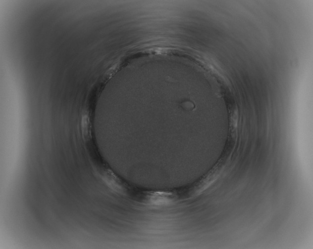 X0000113630222200909181523