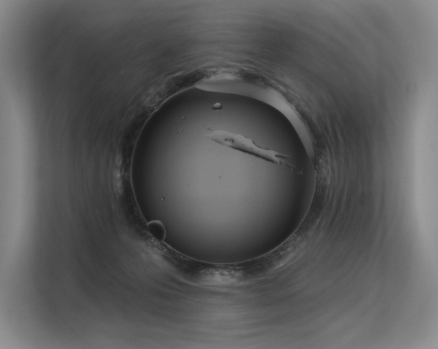 X0000113630223200909181523