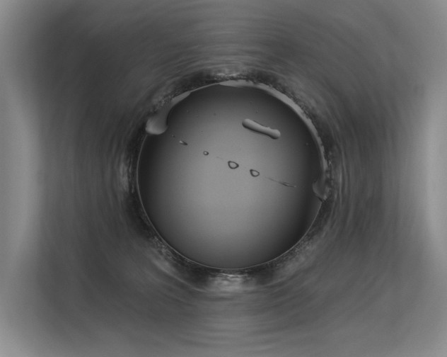 X0000113630227200909181523
