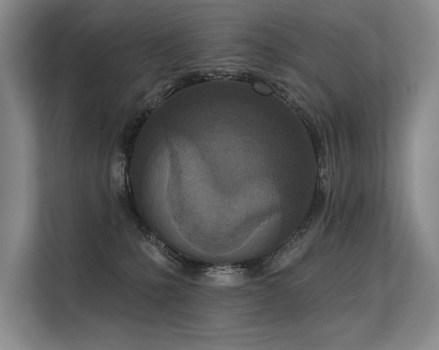 X0000113630231200909181523
