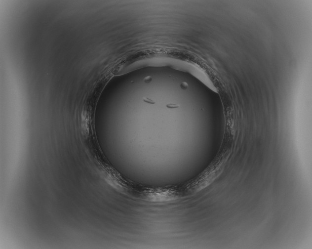 X0000113630235200909181523