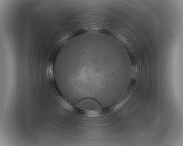X0000113630238200909181523