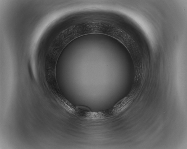 X0000113630239200909181523