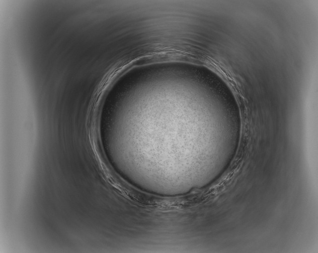 X0000113630241200909181522