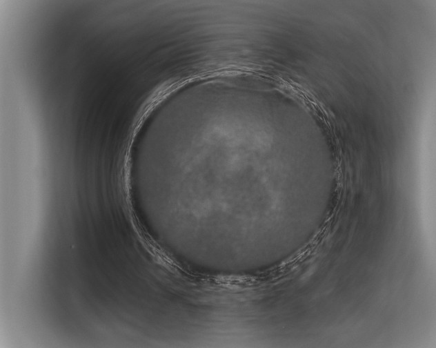 X0000113630242200909181522