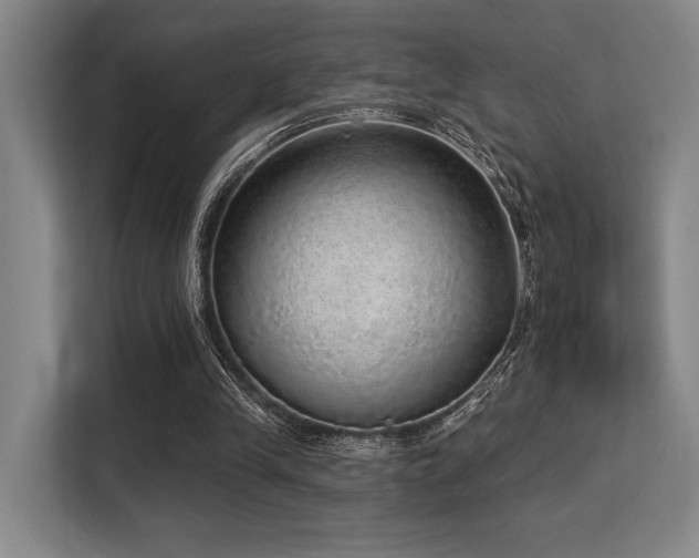 X0000113630245200909181522