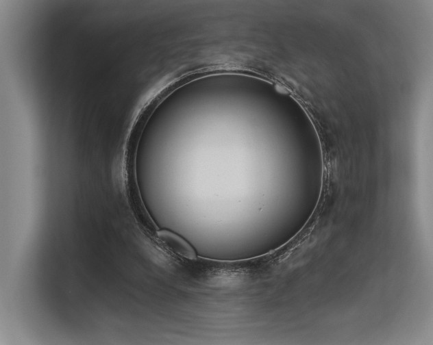 X0000113630248200909181522