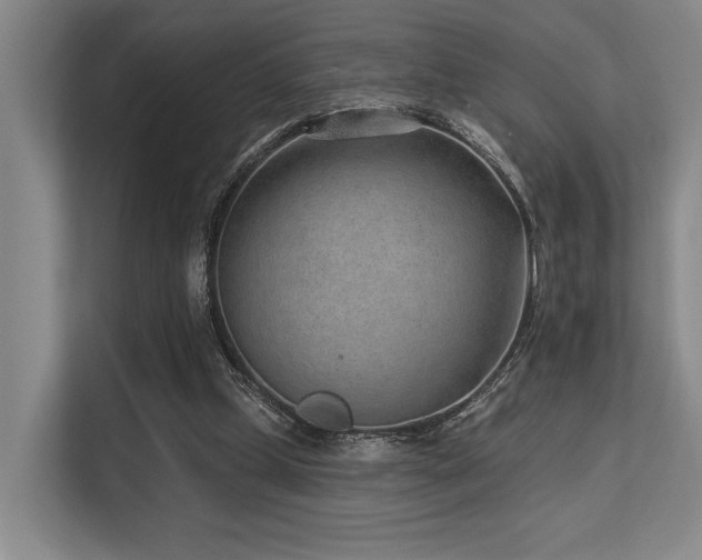 X0000113630249200909181522