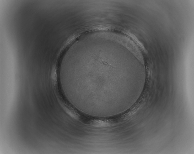 X0000113630250200909181522