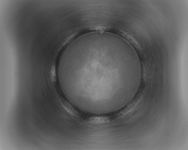 X0000113630251200909181522