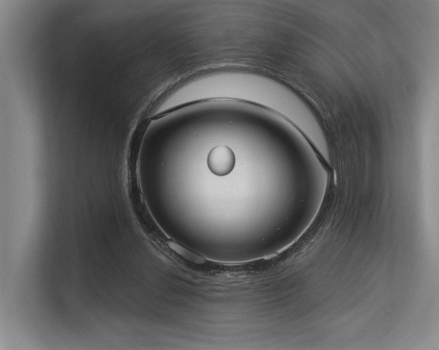 X0000113630252200909181522