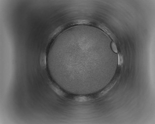 X0000113630253200909181522