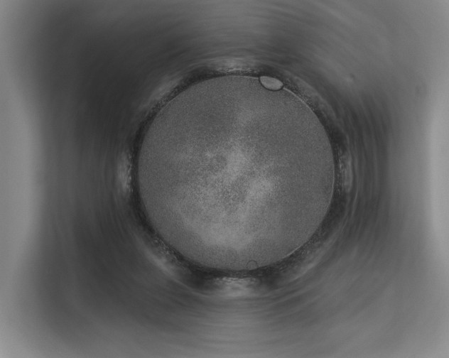 X0000113630255200909181522