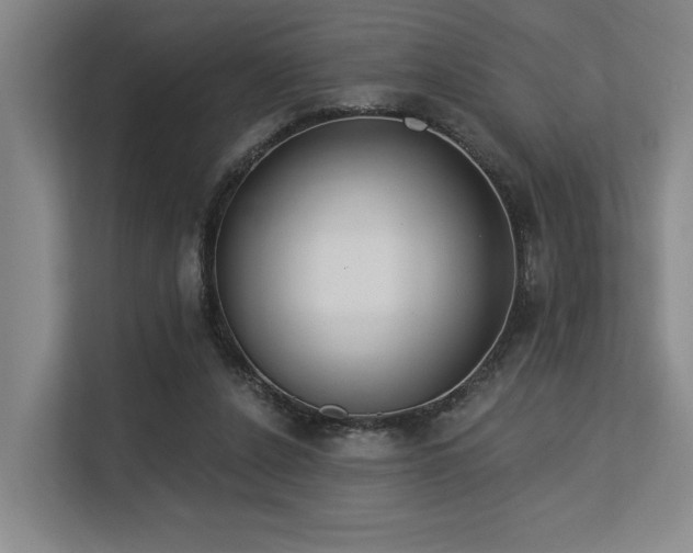 X0000113630256200909181522