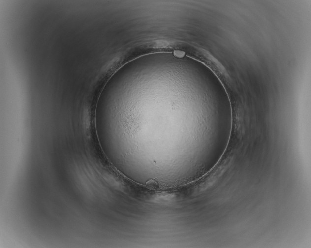 X0000113630257200909181522
