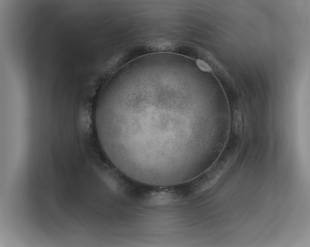 X0000113630259200909181522