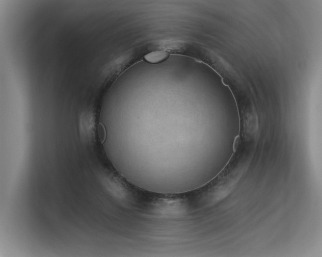 X0000113630260200909181522