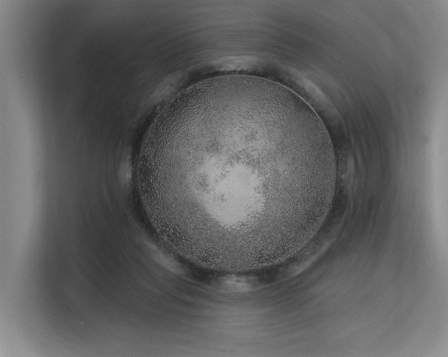 X0000113630261200909181522
