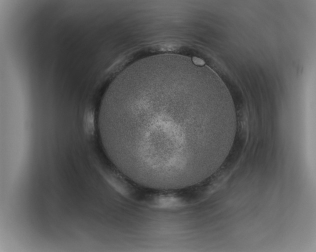 X0000113630262200909181522