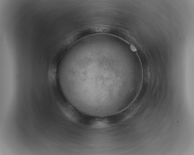X0000113630263200909181522