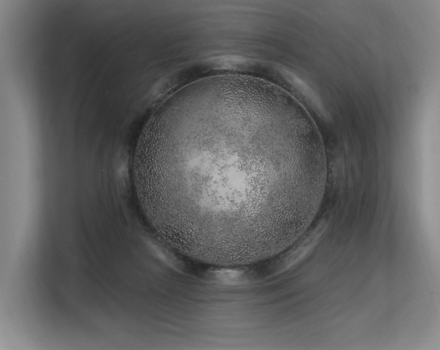 X0000113630265200909181522