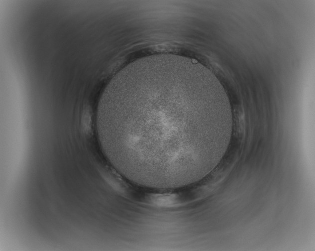 X0000113630266200909181522