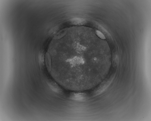 X0000113630268200909181522