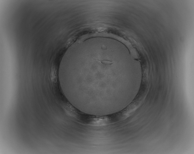 X0000113630274200909181522