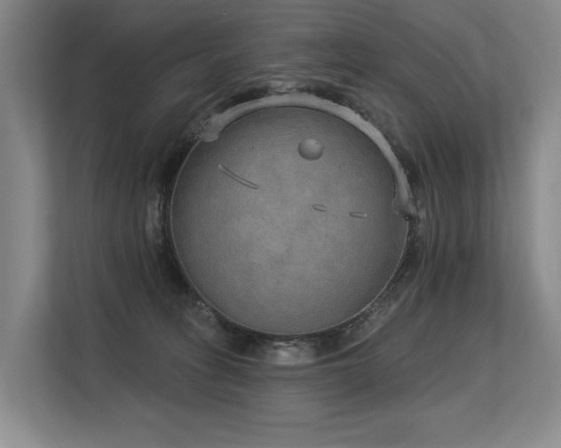 X0000113630275200909181522