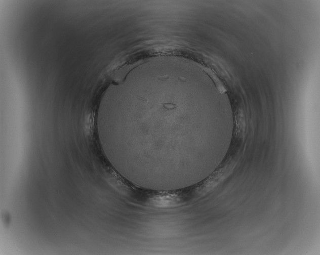 X0000113630278200909181522