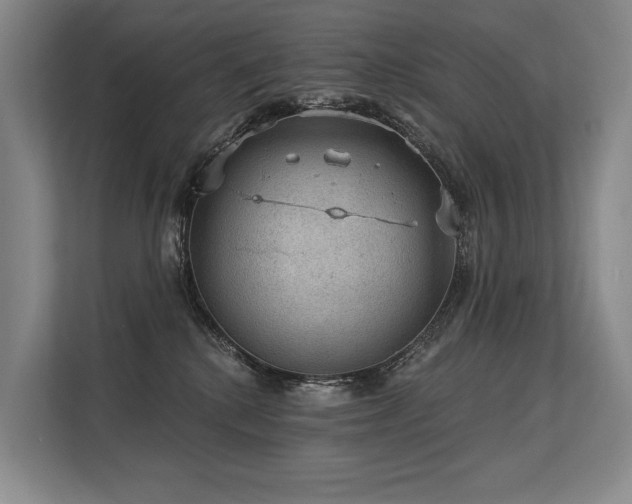 X0000113630280200909181523