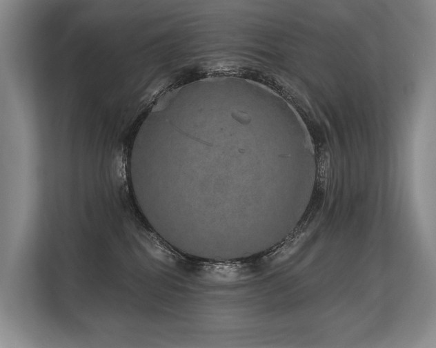 X0000113630282200909181523