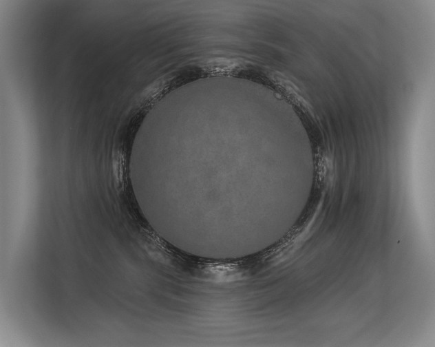 X0000113630283200909181523