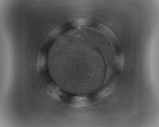 X0000113630284200909181523