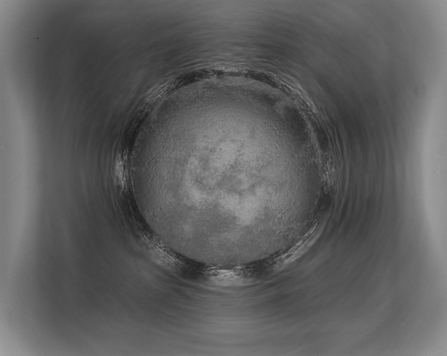 X0000113630285200909181523