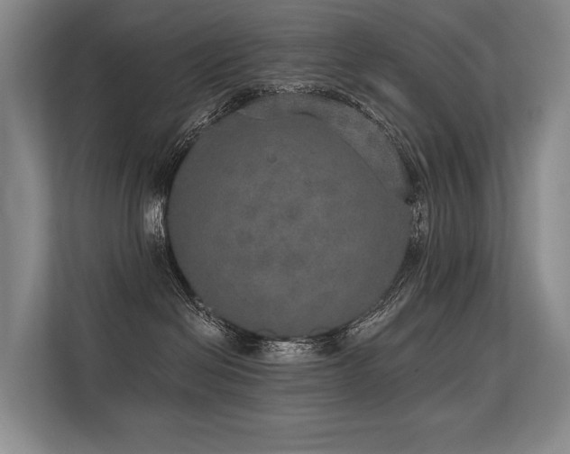 X0000113630286200909181523