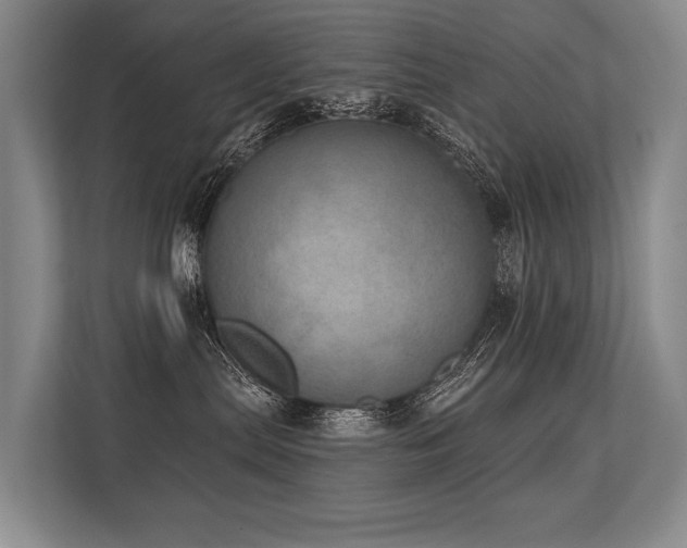 X0000113630287200909181523