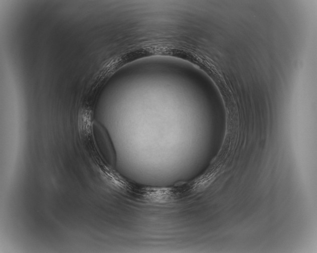 X0000113630288200909181523