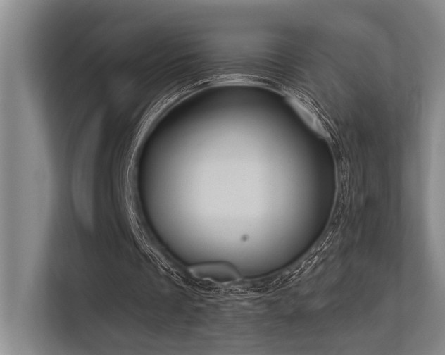 X0000113630289200909181522