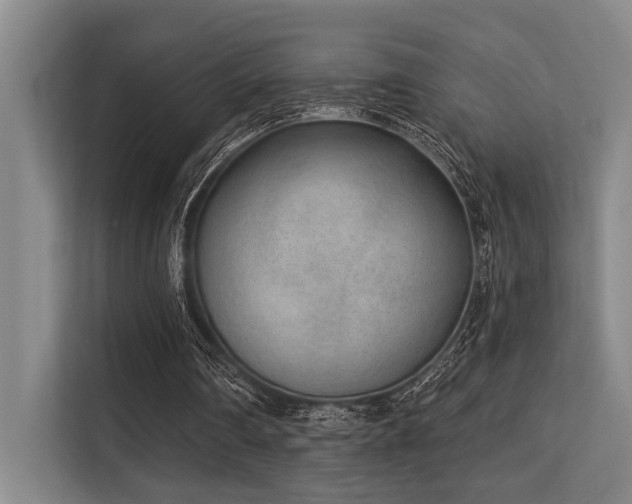 X0000113630290200909181522