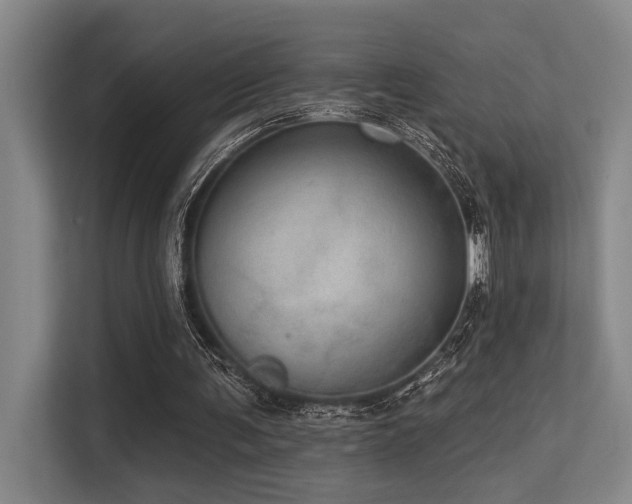 X0000113630291200909181522