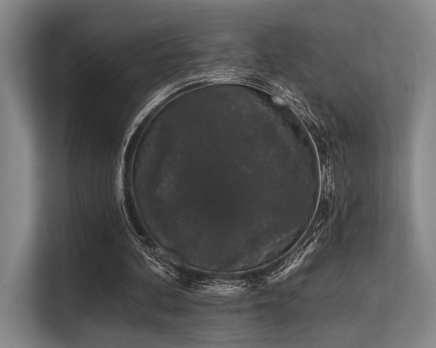 X0000113630292200909181522