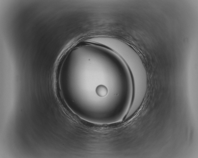 X0000113630293200909181522