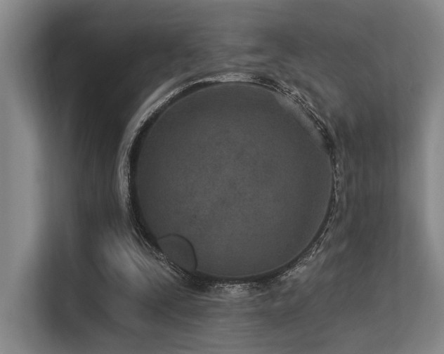 X0000113630295200909181522